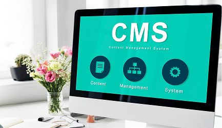 CMS Connector